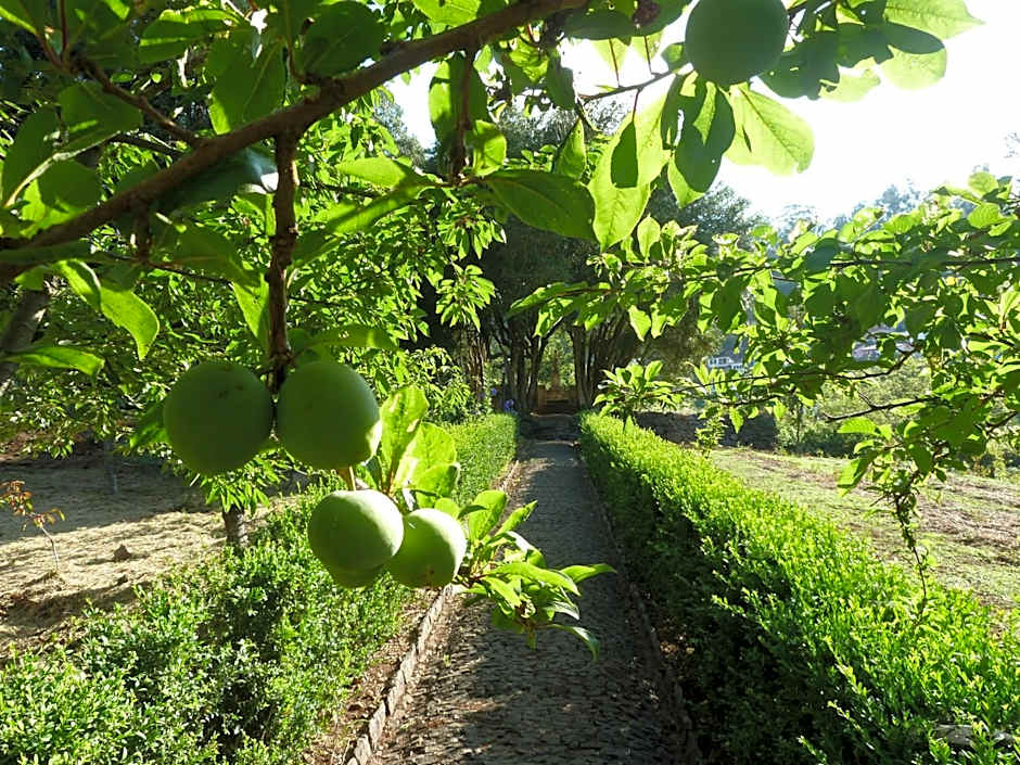 BIO Hotel - Hotel Quinta da Serra