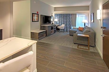 1 King Mobility/hearing Access Ri Shwr Ste Ns Vis Firealrm/door/phn Alrt/sofabed Wet Bar/hdtv/free W