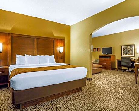 1 King Bed, Suite, Nonsmoking