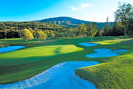 The Black Bear Lodge at Stratton Mountain Resort