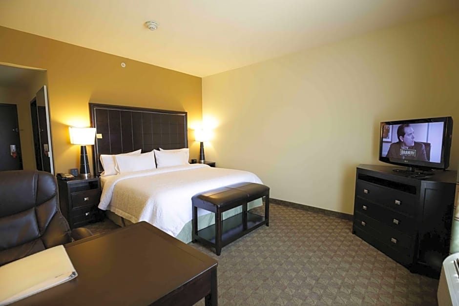Hampton Inn By Hilton And Suites Mcalester