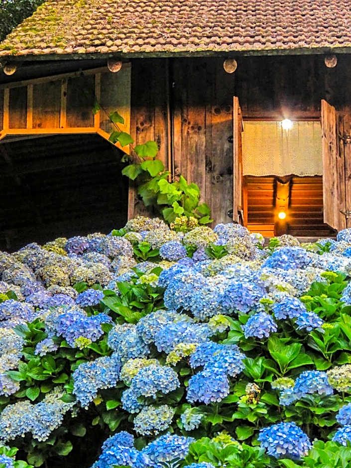 Rancho do Lucas - Cabana e Chalé