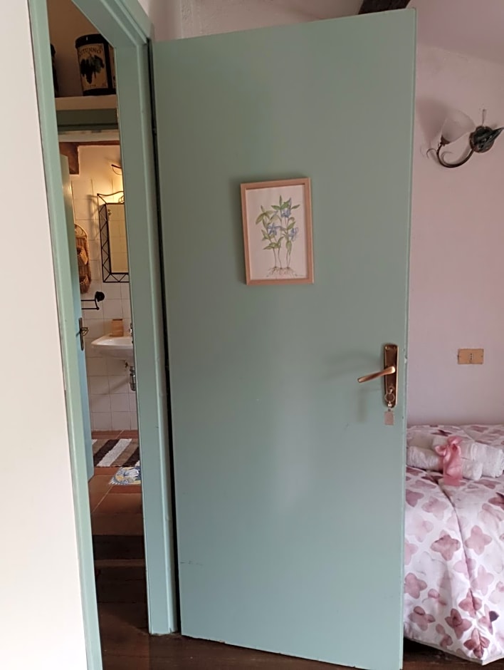 Fattoria La Tana della Volpe