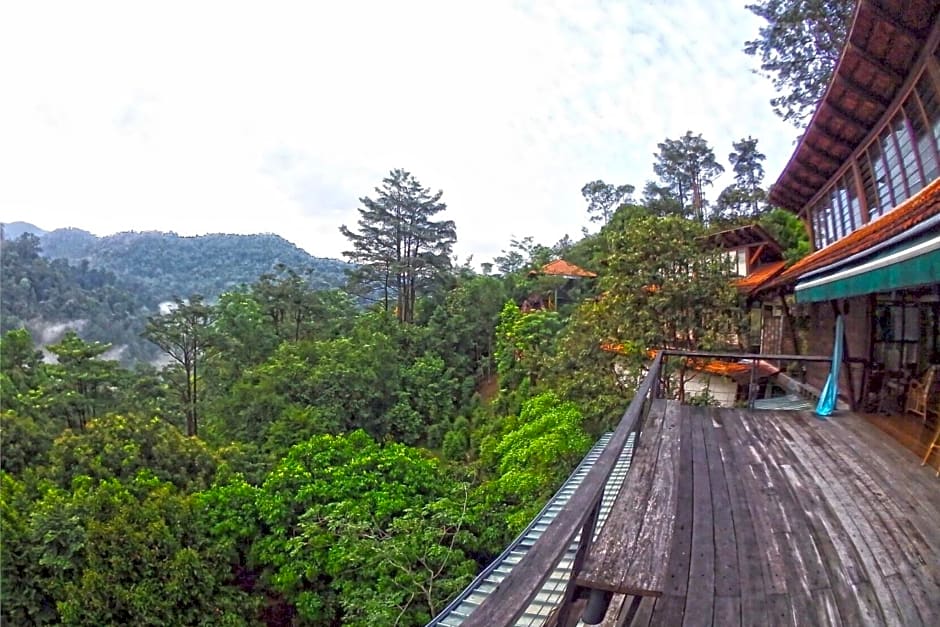 Langit Rimba Resort