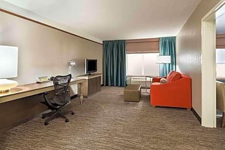 One-Bedroom King Suite with Sofa Bed