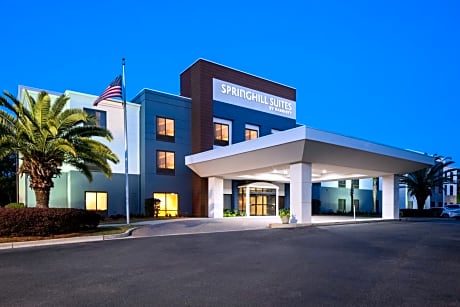 SpringHill Suites by Marriott Savannah I-95 South