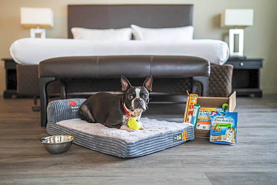 Santiago Marriott Hotel