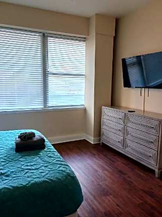 Amazing Condos Beautiful View 2 Blocks To French Quarter, Small Rooftop Pool, Gym, Seanger Theater, Super Dome, And Bourbon St