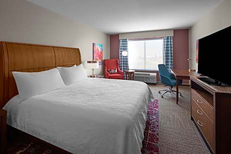 1 King Bed