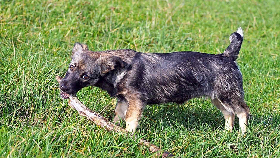 M Star Hotel Covington