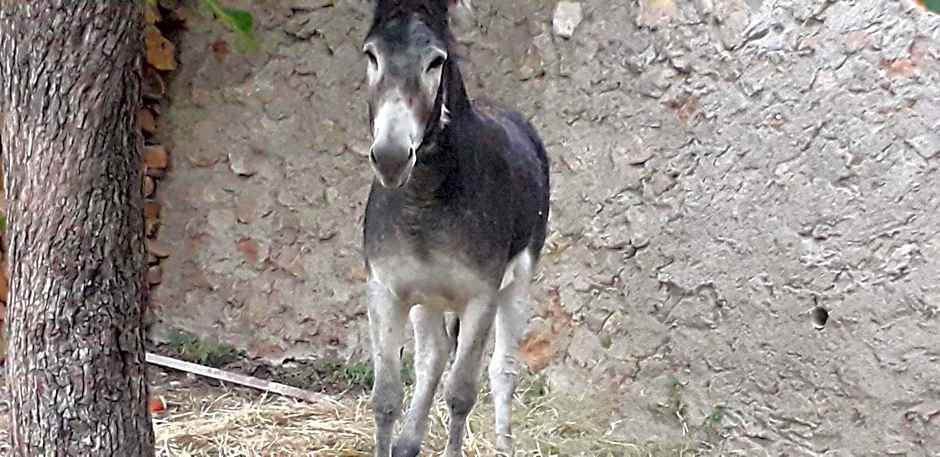 Casa Rural ENTRESIERRAS