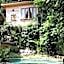 Roots Tree House