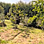 B&B Alloro
