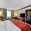 Comfort Inn Mount Vernon Downtown