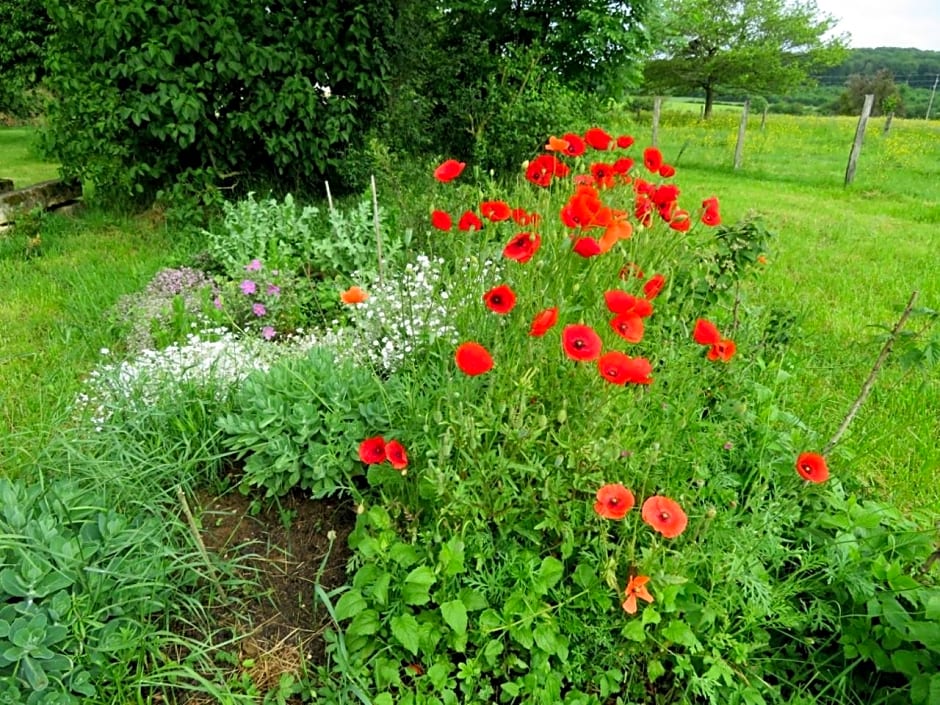 Ô prés d'ici Chambres d'hôtes