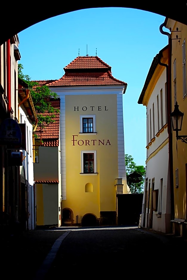 Hotel Fortna