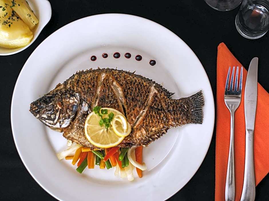 Pullman Lubumbashi Grand Karavia