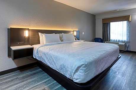 King Room - Non Smoking/Exterior Hall