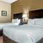 Comfort Inn & Suites DeLand - near University