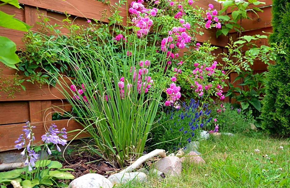 Domki holenderskie ,, Lataj¿cy Holender"