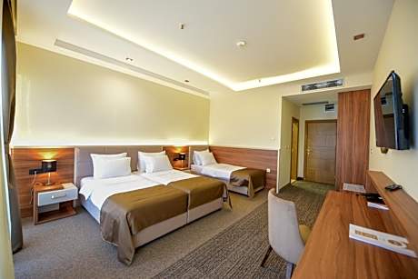 Comfort Triple Room