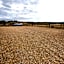 Moorland View Farm B&B