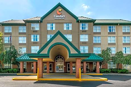 Comfort Inn & Suites Nashville Franklin Cool Springs