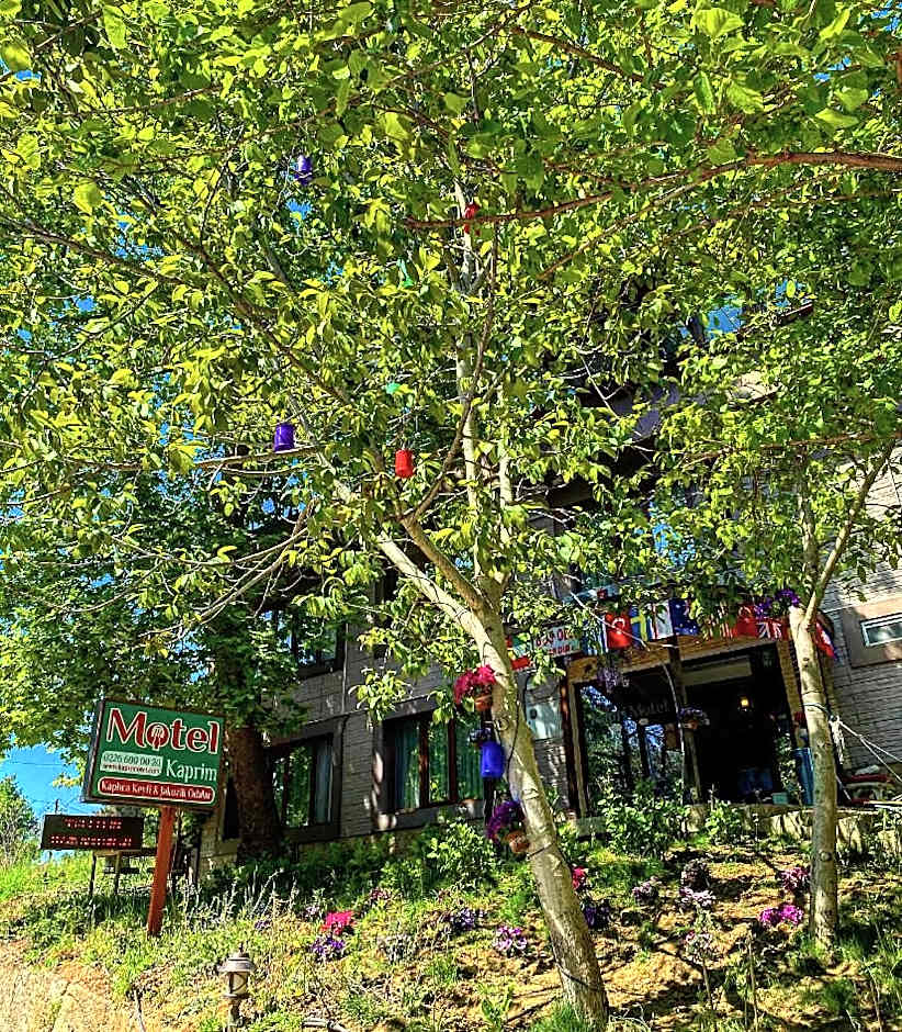 Kapri Termal Hotel & Kaplica Yalova