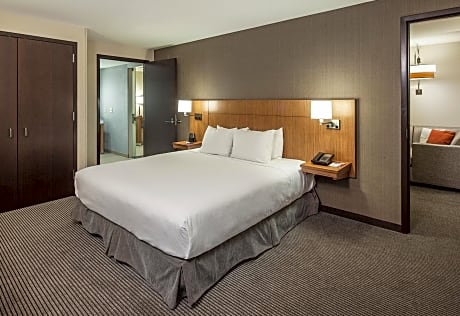 King Suite with Accessible Shower - Disability Access