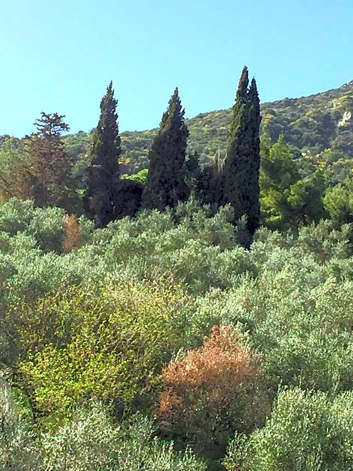 Belvedere Zakynthos Studios