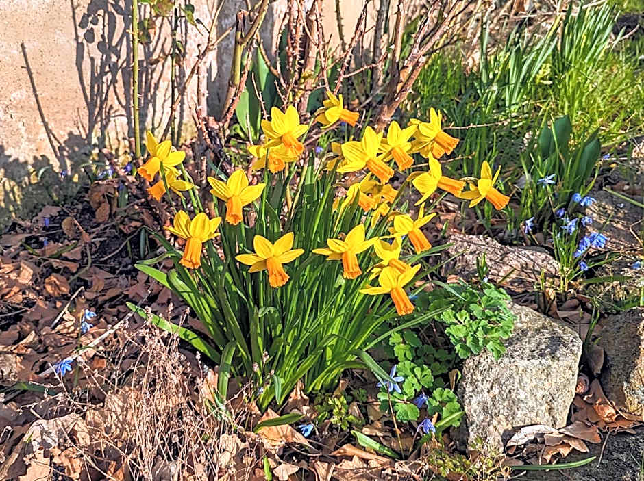 Land-gut-Hotel Schenkenberger Hof