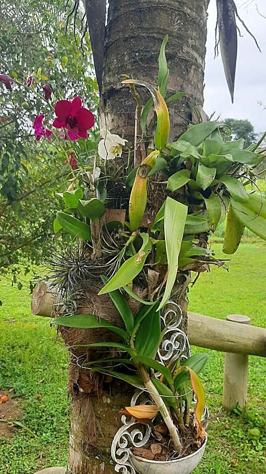 Rancho Esperança, pouso e comida a lenha