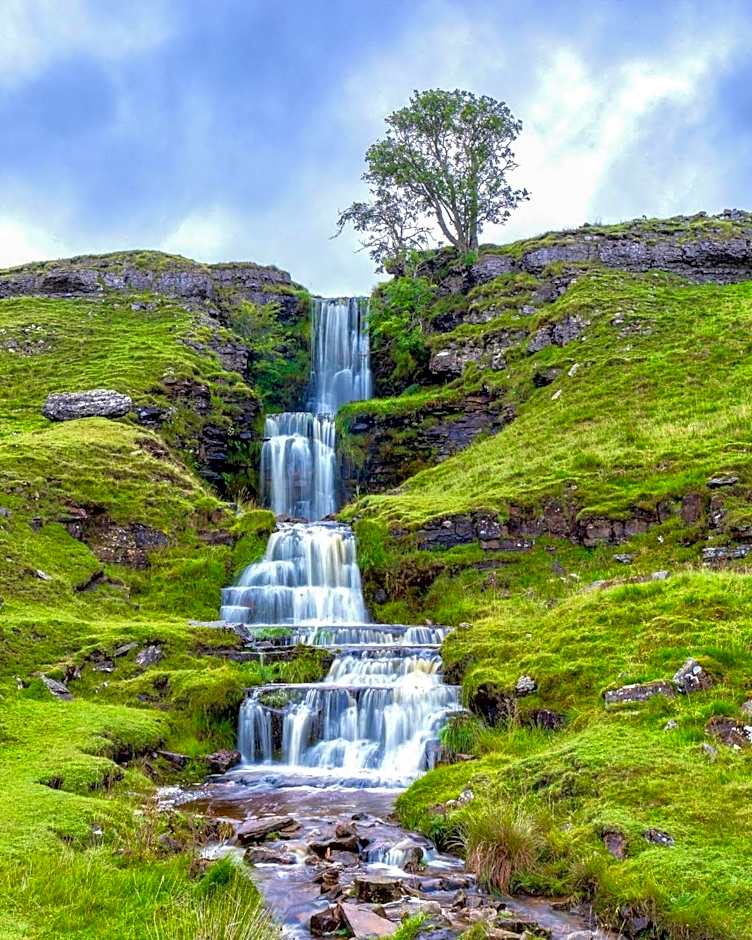 The Waltzing Weasel B&B