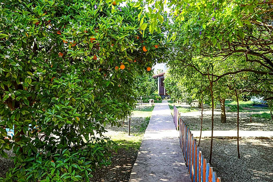 Three Islands Bungalow