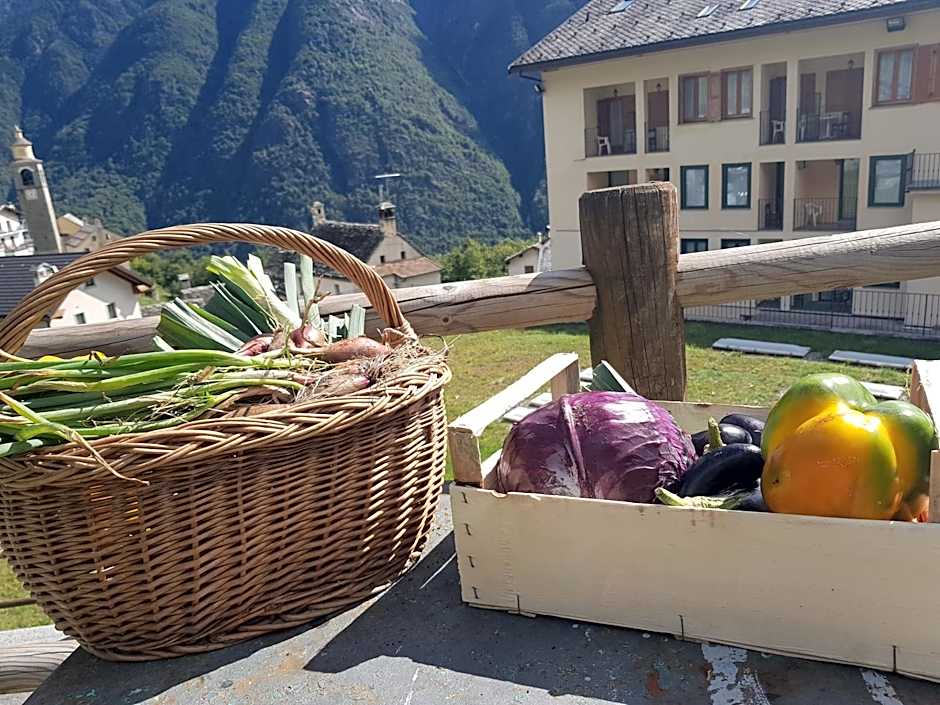 Hotel Belvedere Wellness&SPA