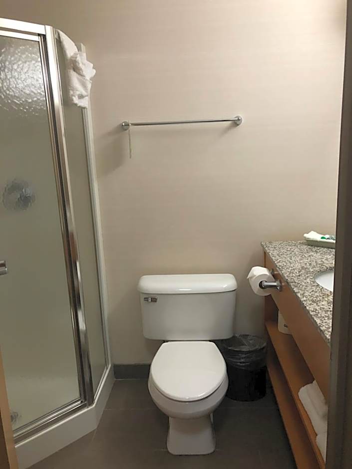 Best Western Grande Prairie Hotel And Suites