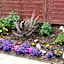 Ordieview Bed & Breakfast