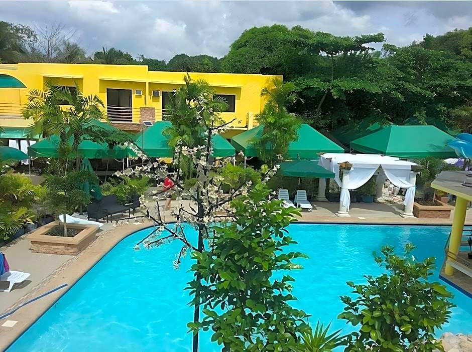 Moalboal Tropics