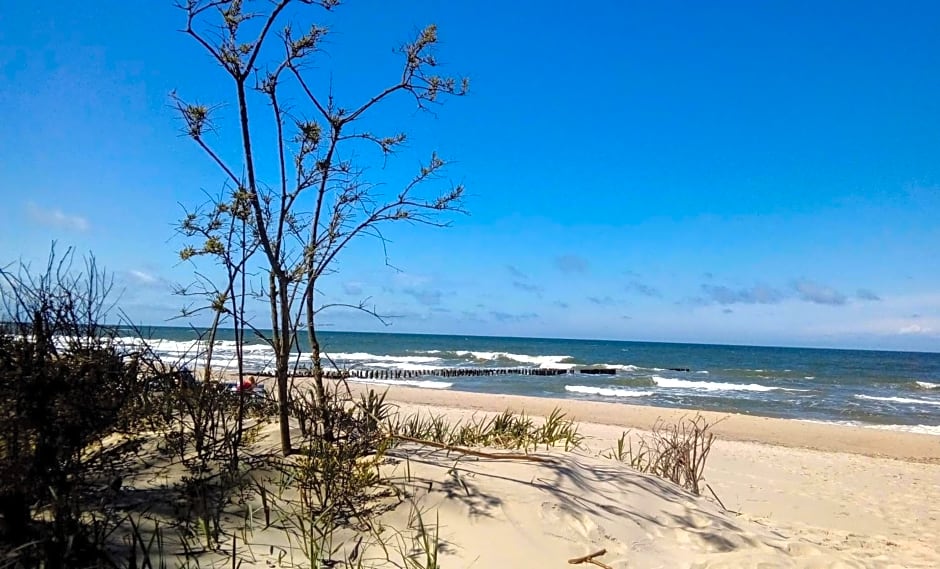 Pokoje goscinne Neptunia