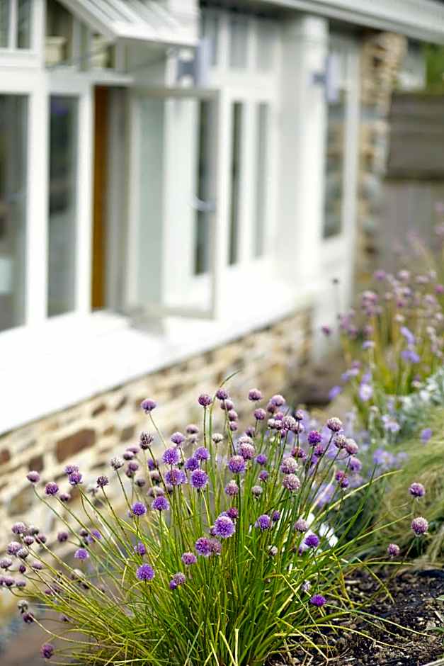 The Plume of Feathers