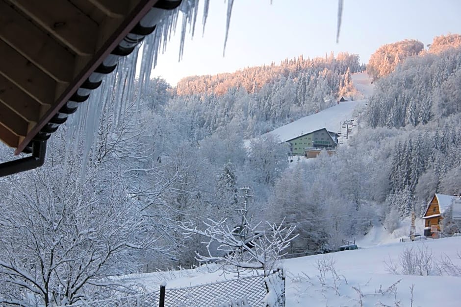 Hillton Jawornik – Wisla, IN