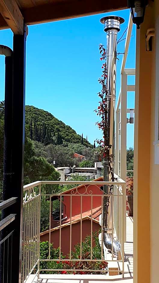 Anemona Studios