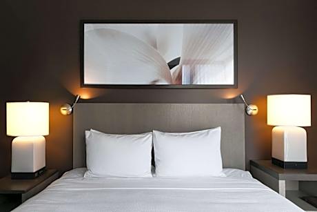 Queen Studio Suite with Kitchen and Roll-In Shower - Disability Access