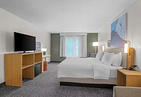 1 King Bed With Sofabed