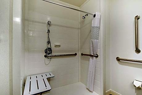 1 King Accessible Roll In Shower Non-Smoking
