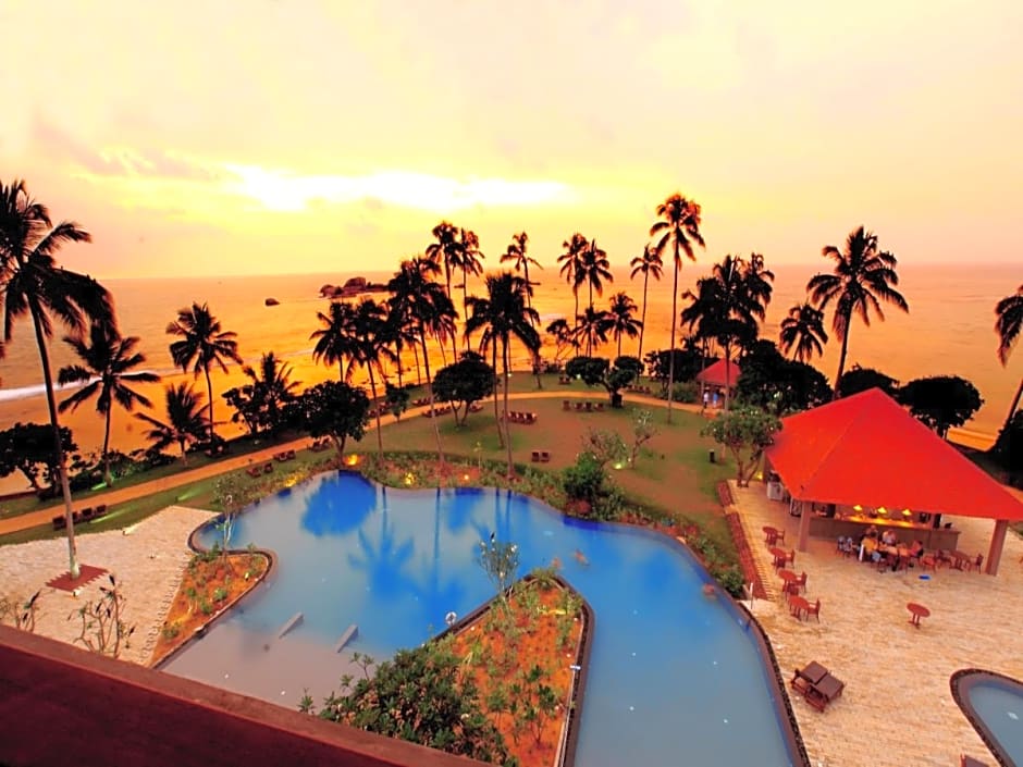 Hikka Tranz By Cinnamon