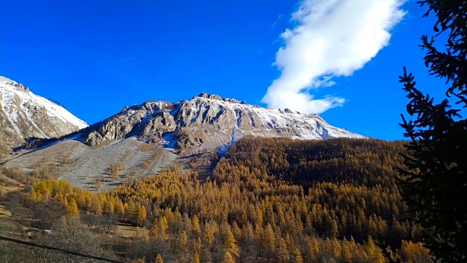 Les marmottes d Estenc