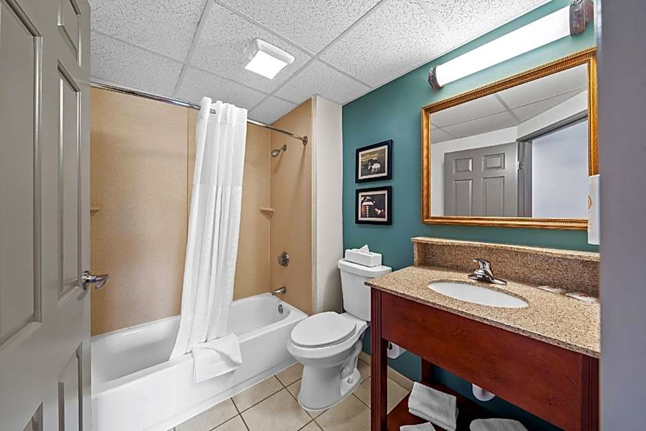 Photo 1 of 6 of 1 King Bed Suite