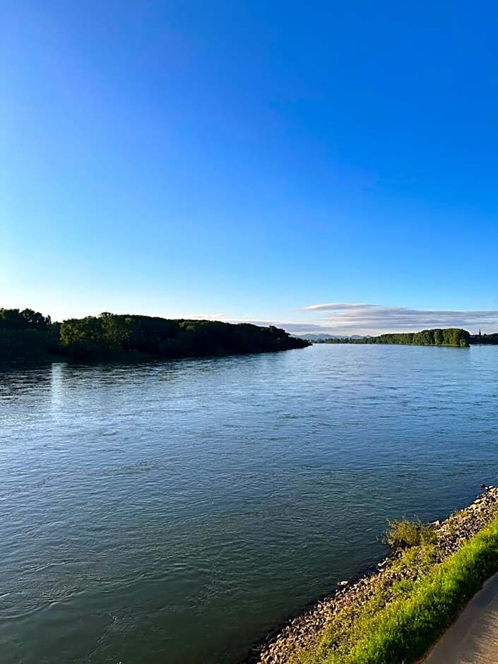 Rheinterrassen Hotel Café Restaurant