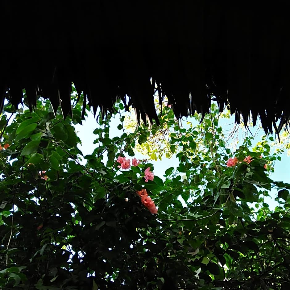 Cebu Pungko-pungko Hostel